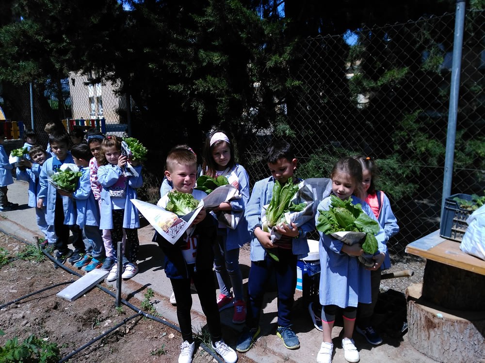 Alumnado mostrando la cosecha del huerto escolar
